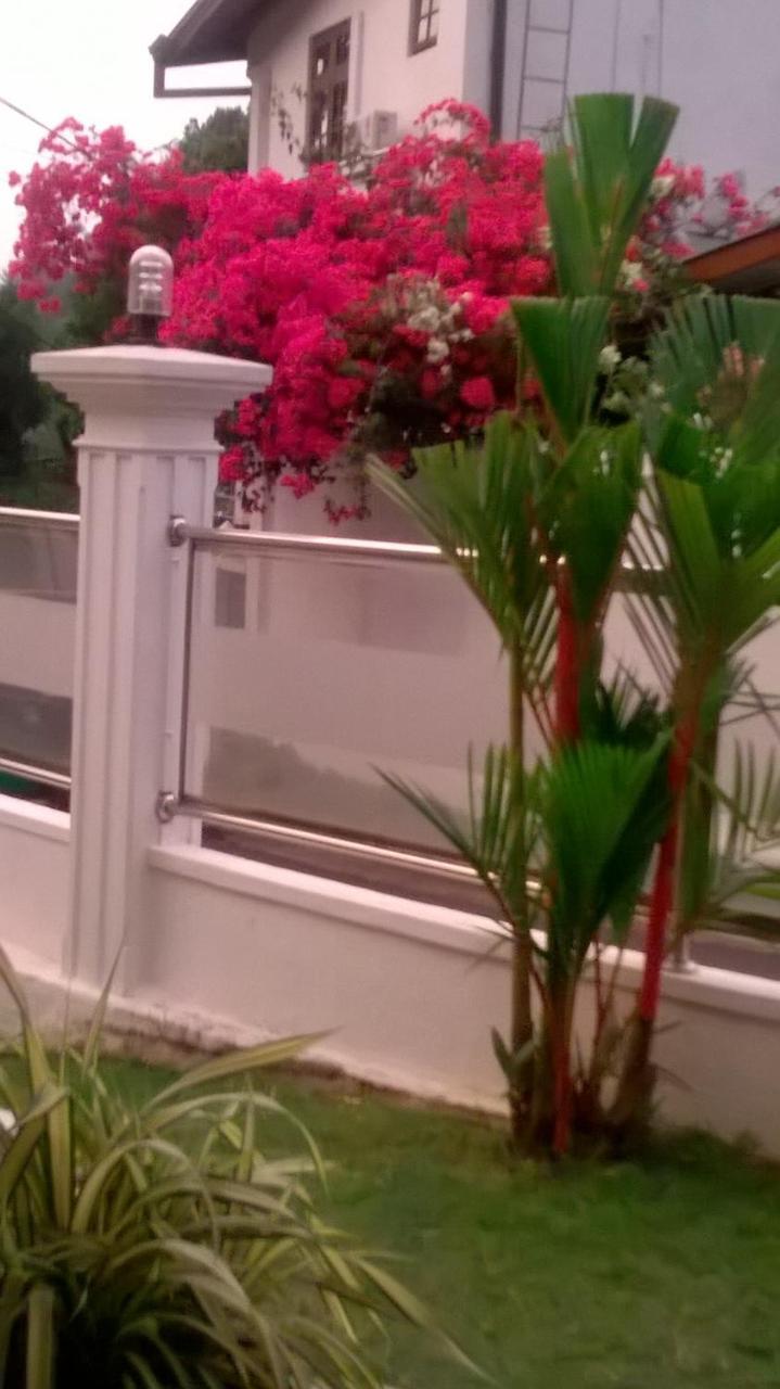 קנדי Anna Shanthi Villa מראה חיצוני תמונה