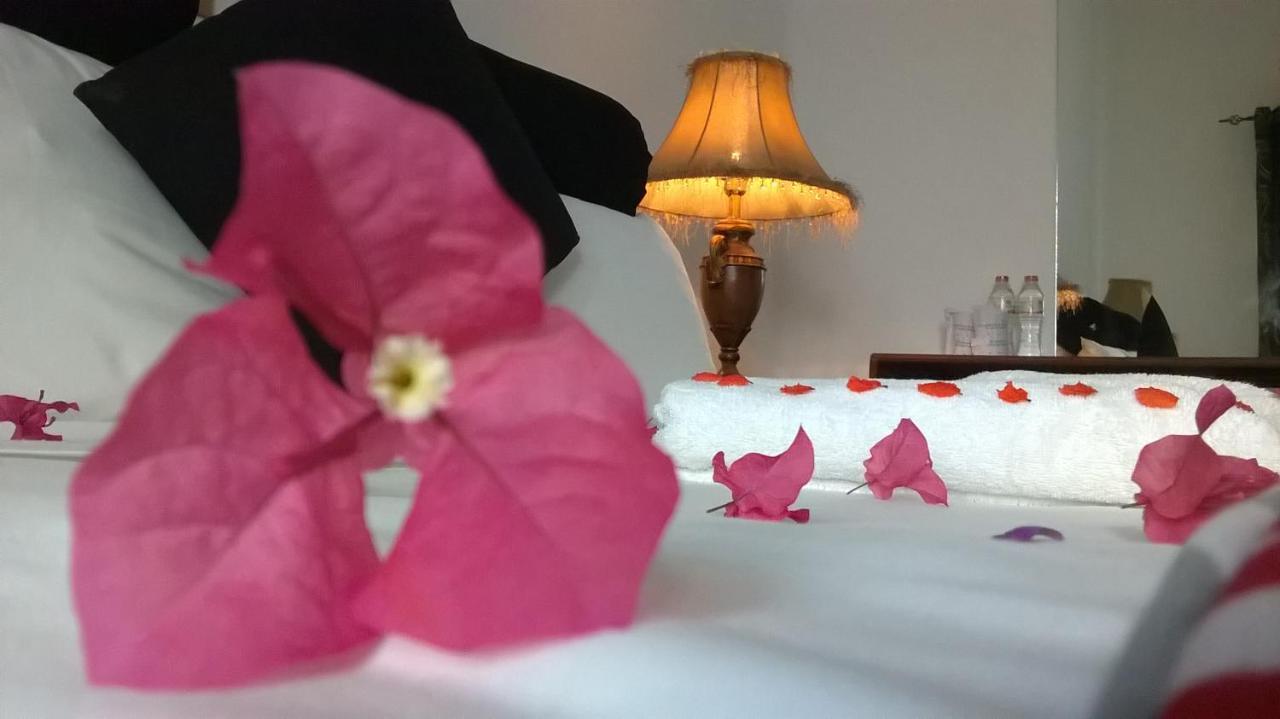 קנדי Anna Shanthi Villa מראה חיצוני תמונה