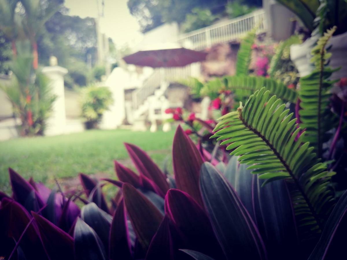 קנדי Anna Shanthi Villa מראה חיצוני תמונה
