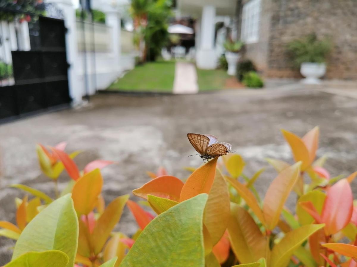 קנדי Anna Shanthi Villa מראה חיצוני תמונה
