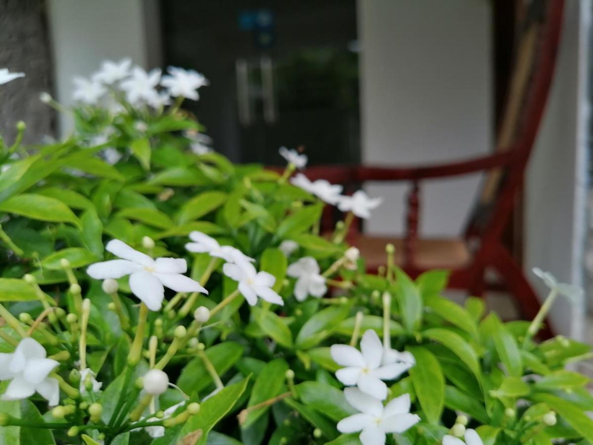 קנדי Anna Shanthi Villa מראה חיצוני תמונה